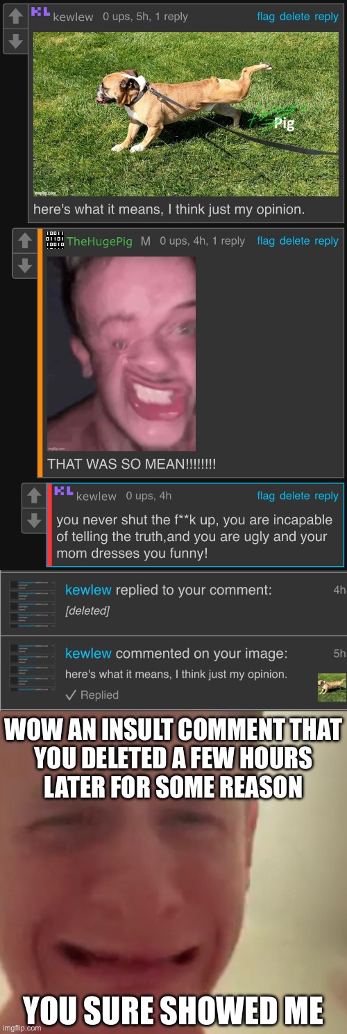 Idk why he has this dumb habit of deleting his own comments.  The more he does it the more I enjoy making fun of him. | WOW AN INSULT COMMENT THAT
YOU DELETED A FEW HOURS
LATER FOR SOME REASON; YOU SURE SHOWED ME | made w/ Imgflip meme maker