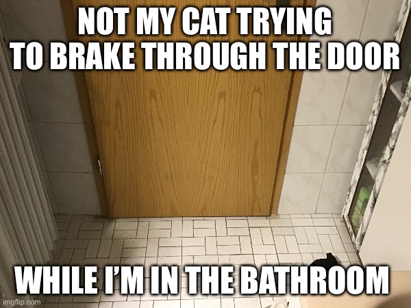 :l | NOT MY CAT TRYING TO BRAKE THROUGH THE DOOR; WHILE I’M IN THE BATHROOM | image tagged in funnny,cats | made w/ Imgflip meme maker