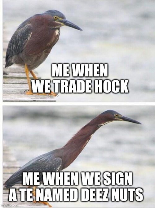 ME WHEN WE TRADE HOCK; ME WHEN WE SIGN A TE NAMED DEEZ NUTS | made w/ Imgflip meme maker