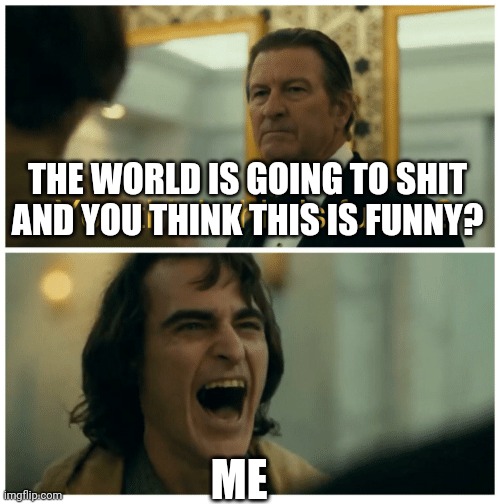 Hard to keep a straight face | THE WORLD IS GOING TO SHIT AND YOU THINK THIS IS FUNNY? ME | image tagged in joker you expect this to be funny | made w/ Imgflip meme maker