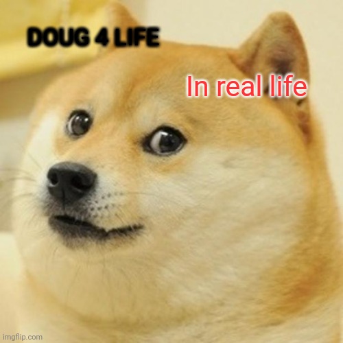Doug | DOUG 4 LIFE; In real life | image tagged in memes,doge | made w/ Imgflip meme maker
