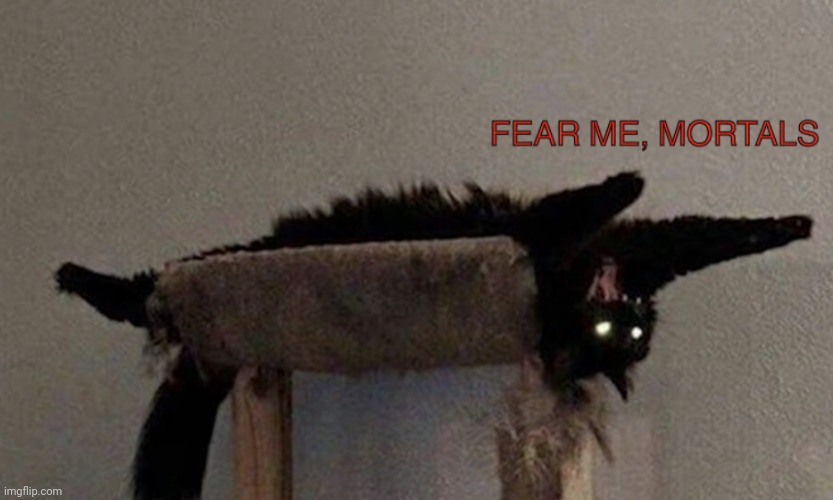 FEAR ME, MORTALS | image tagged in fear me mortals | made w/ Imgflip meme maker