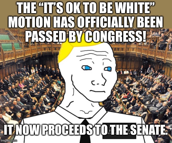 White Lives Matter! | THE “IT’S OK TO BE WHITE”
MOTION HAS OFFICIALLY BEEN
PASSED BY CONGRESS! IT NOW PROCEEDS TO THE SENATE. | image tagged in head of congress britishmormon announcement template | made w/ Imgflip meme maker