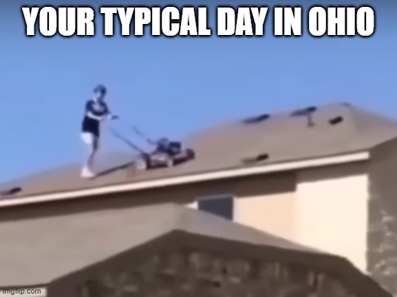 ohio | YOUR TYPICAL DAY IN OHIO | image tagged in funny,ohio | made w/ Imgflip meme maker