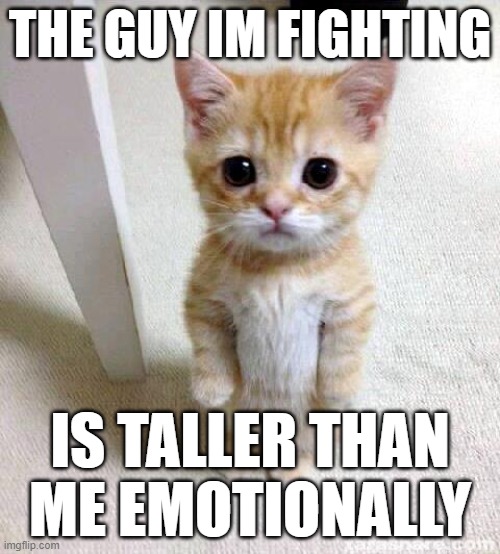 Cute Cat | THE GUY IM FIGHTING; IS TALLER THAN ME EMOTIONALLY | image tagged in memes,cute cat | made w/ Imgflip meme maker