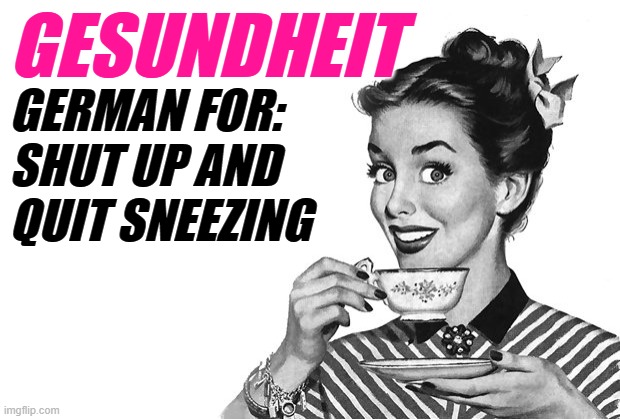 Gesundheit Definition | GESUNDHEIT; GERMAN FOR:
SHUT UP AND 
QUIT SNEEZING | image tagged in 1950s housewife,german,definition,funny memes,lol,sneezing | made w/ Imgflip meme maker