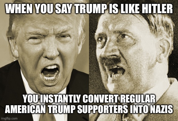 Trump Hitler  | WHEN YOU SAY TRUMP IS LIKE HITLER; YOU INSTANTLY CONVERT REGULAR AMERICAN TRUMP SUPPORTERS INTO NAZIS | image tagged in trump hitler | made w/ Imgflip meme maker