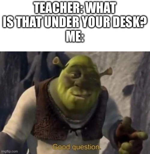 When you get this |  TEACHER: WHAT IS THAT UNDER YOUR DESK?
ME: | image tagged in shrek good question,funny,teacher,students | made w/ Imgflip meme maker