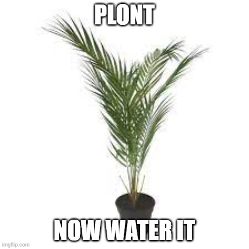 Plont :> | PLONT; NOW WATER IT | image tagged in lol | made w/ Imgflip meme maker