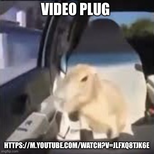 Ok I pull up capybara | VIDEO PLUG; HTTPS://M.YOUTUBE.COM/WATCH?V=JLFXQ8TJK6E | image tagged in ok i pull up capybara | made w/ Imgflip meme maker