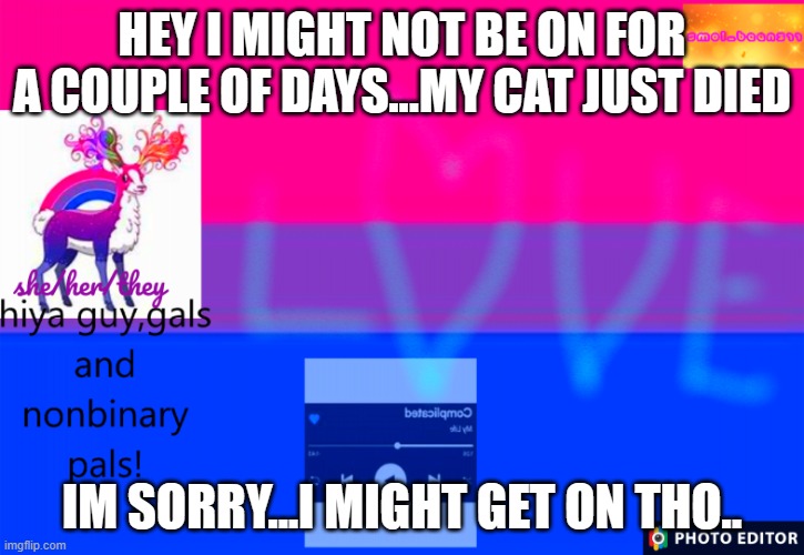 ???? | HEY I MIGHT NOT BE ON FOR A COUPLE OF DAYS...MY CAT JUST DIED; IM SORRY...I MIGHT GET ON THO.. | image tagged in smol_bean311 template | made w/ Imgflip meme maker