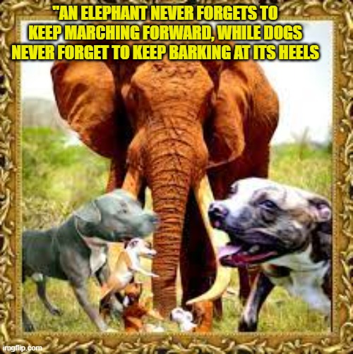 "AN ELEPHANT NEVER FORGETS TO KEEP MARCHING FORWARD, WHILE DOGS NEVER FORGET TO KEEP BARKING AT ITS HEELS | made w/ Imgflip meme maker