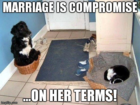 MARRIAGE IS COMPROMISE ...ON HER TERMS! | image tagged in cat steals dog bed | made w/ Imgflip meme maker