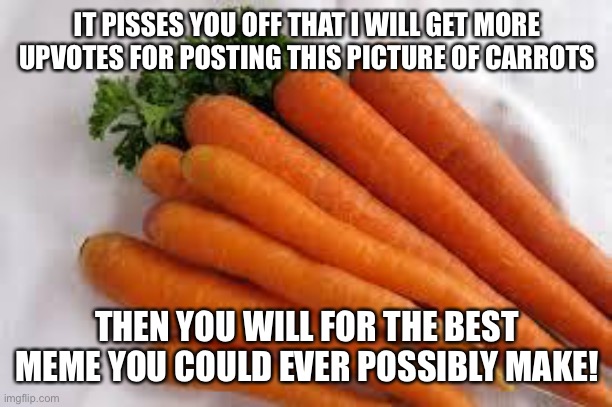 Carrots | IT PISSES YOU OFF THAT I WILL GET MORE UPVOTES FOR POSTING THIS PICTURE OF CARROTS; THEN YOU WILL FOR THE BEST MEME YOU COULD EVER POSSIBLY MAKE! | image tagged in carrots | made w/ Imgflip meme maker