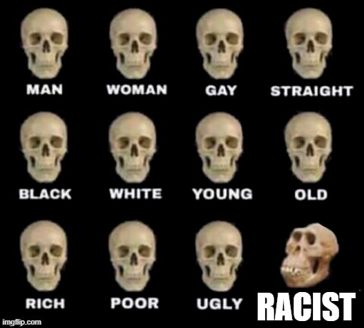 idiot skull | RACIST | image tagged in idiot skull | made w/ Imgflip meme maker
