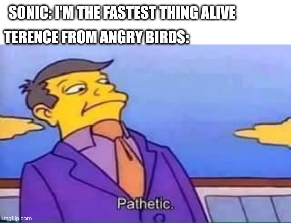 Not even the cameraman can catch him | TERENCE FROM ANGRY BIRDS:; SONIC: I'M THE FASTEST THING ALIVE | image tagged in skinner pathetic,sonic the hedgehog,angry baby,sega | made w/ Imgflip meme maker