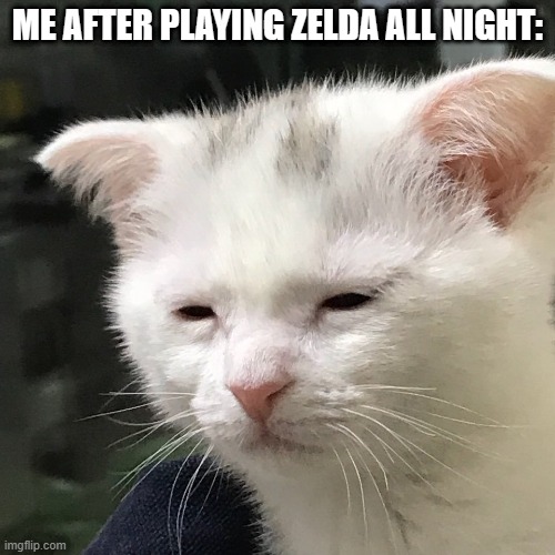 i got age of calamity for christmas :D | ME AFTER PLAYING ZELDA ALL NIGHT: | image tagged in i'm awake but at what cost | made w/ Imgflip meme maker