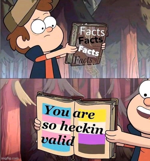 There's a Facebook Page Called "Have a Gay Day" and They Post Memes Like This | image tagged in gravity falls,facts,valid | made w/ Imgflip meme maker