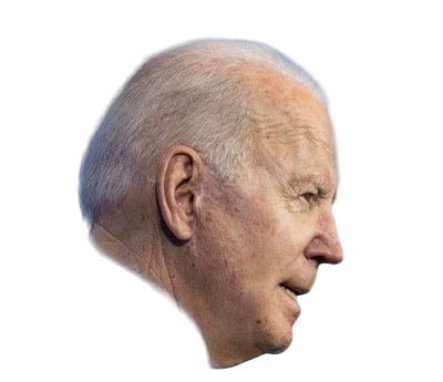 High Quality biden side profile Blank Meme Template