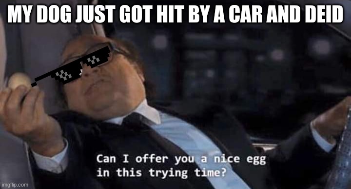Can I offer you a nice egg in this trying time? | MY DOG JUST GOT HIT BY A CAR AND DEID | image tagged in can i offer you a nice egg in this trying time | made w/ Imgflip meme maker