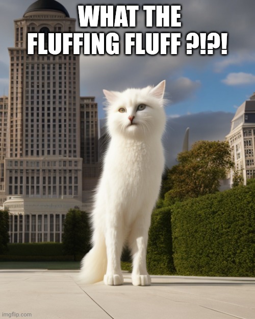 Wtf | WHAT THE FLUFFING FLUFF ?!?! | image tagged in wtf cat | made w/ Imgflip meme maker