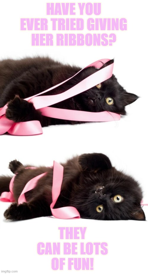 HAVE YOU EVER TRIED GIVING HER RIBBONS? THEY CAN BE LOTS OF FUN! | made w/ Imgflip meme maker