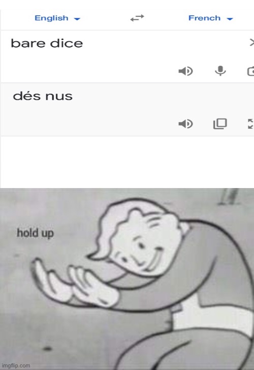 Fallout Hold Up | image tagged in fallout hold up,google translate | made w/ Imgflip meme maker