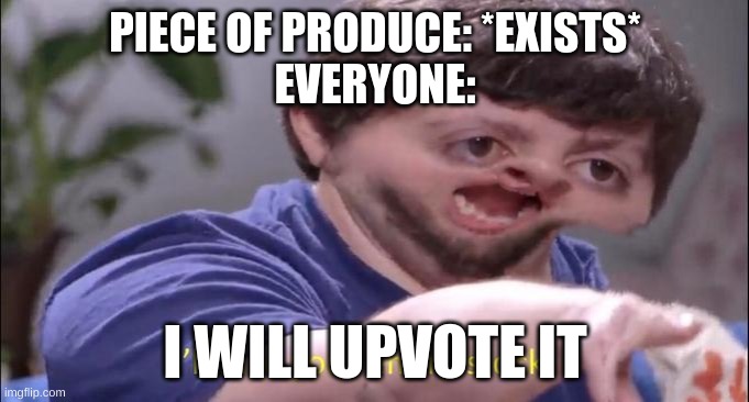 y tho | PIECE OF PRODUCE: *EXISTS*
EVERYONE:; I WILL UPVOTE IT | image tagged in i'll take your entire stock | made w/ Imgflip meme maker