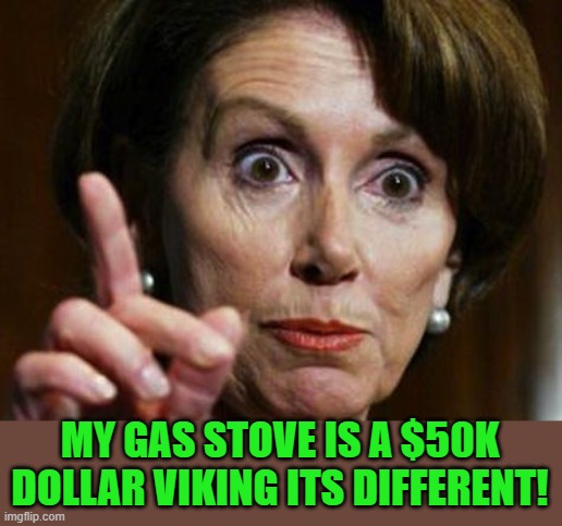 Nancy Pelosi No Spending Problem | MY GAS STOVE IS A $50K DOLLAR VIKING ITS DIFFERENT! | image tagged in nancy pelosi no spending problem | made w/ Imgflip meme maker