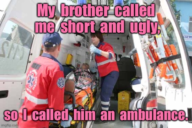 Short and ugly | My  brother  called  me  short  and  ugly, so  I  called  him  an  ambulance. | image tagged in ambulance,called me short and ugly,i called him ambulance,emergency,dark humour | made w/ Imgflip meme maker