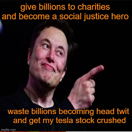 give billions to charities and become a social justice hero waste billions becoming head twit
 and get my tesla stock crushed | made w/ Imgflip meme maker