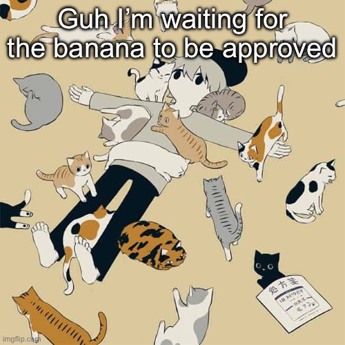 Avogado6 | Guh I’m waiting for the banana to be approved | image tagged in avogado6 | made w/ Imgflip meme maker