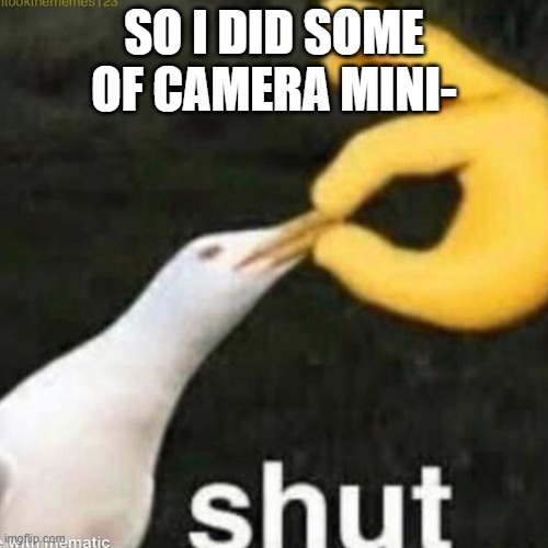 of camera mining | SO I DID SOME OF CAMERA MINI- | image tagged in shut gull | made w/ Imgflip meme maker