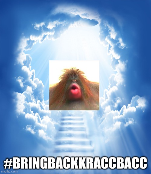 Heaven | #BRINGBACKKRACCBACC | image tagged in heaven,funny,youtuber | made w/ Imgflip meme maker