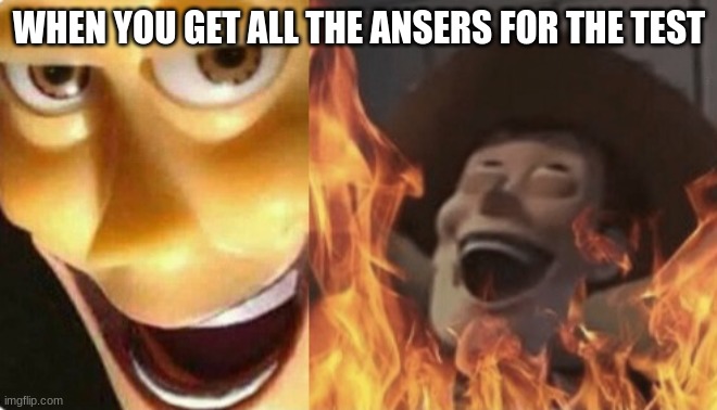 Satanic woody (no spacing) | WHEN YOU GET ALL THE ANSERS FOR THE TEST | image tagged in satanic woody no spacing | made w/ Imgflip meme maker