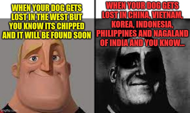OH NO | WHEN YOUR DOG GETS LOST IN CHINA, VIETNAM, KOREA, INDONESIA, PHILIPPINES AND NAGALAND OF INDIA AND YOU KNOW... WHEN YOUR DOG GETS LOST IN THE WEST BUT YOU KNOW ITS CHIPPED AND IT WILL BE FOUND SOON | image tagged in normal and dark mr incredibles | made w/ Imgflip meme maker