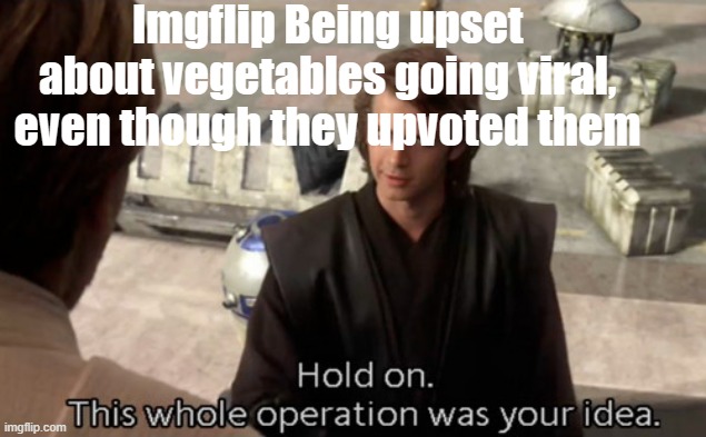 Hold on this whole operation was your idea | Imgflip Being upset about vegetables going viral, even though they upvoted them | image tagged in hold on this whole operation was your idea | made w/ Imgflip meme maker