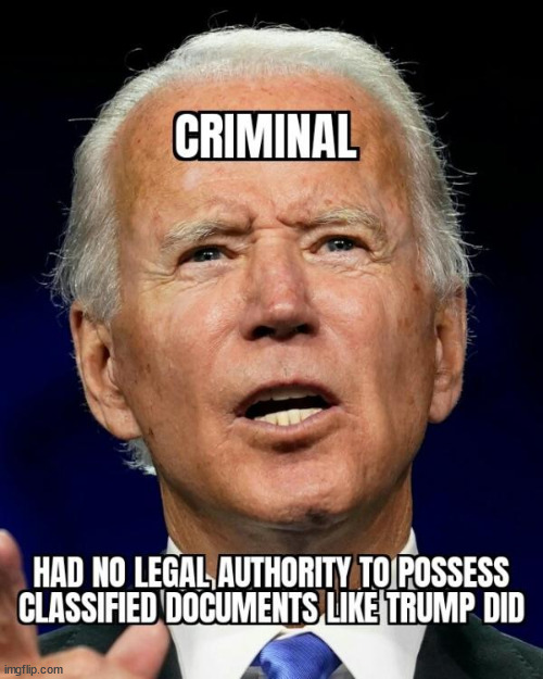 Libs can't deflect from the truth on this... | image tagged in criminal,joe biden | made w/ Imgflip meme maker