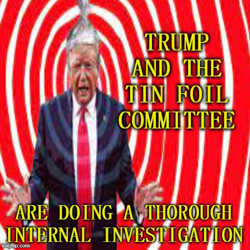 TRUMP AND THE TIN FOIL COMMITTEE ARE DOING A THOROUGH INTERNAL INVESTIGATION | made w/ Imgflip meme maker