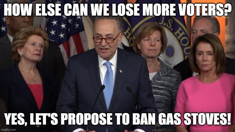 Democrat congressmen | HOW ELSE CAN WE LOSE MORE VOTERS? YES, LET'S PROPOSE TO BAN GAS STOVES! | image tagged in democrat congressmen | made w/ Imgflip meme maker