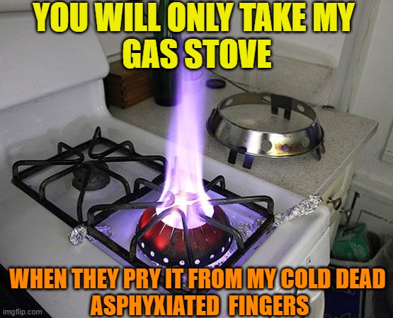 Pass the gas,please | YOU WILL ONLY TAKE MY 
GAS STOVE; WHEN THEY PRY IT FROM MY COLD DEAD
 ASPHYXIATED  FINGERS | image tagged in maga,conspiracy theory,gas,funny memes,political humor | made w/ Imgflip meme maker