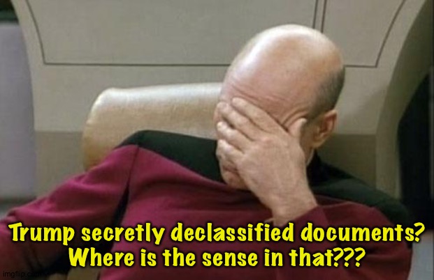 Trump played the "declassification" card as an act of desperation. | Trump secretly declassified documents?
Where is the sense in that??? | image tagged in memes,captain picard facepalm | made w/ Imgflip meme maker