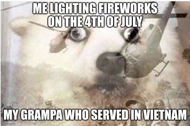 Vietnam dog | ME LIGHTING FIREWORKS ON THE 4TH OF JULY; MY GRAMPA WHO SERVED IN VIETNAM | image tagged in vietnam dog | made w/ Imgflip meme maker