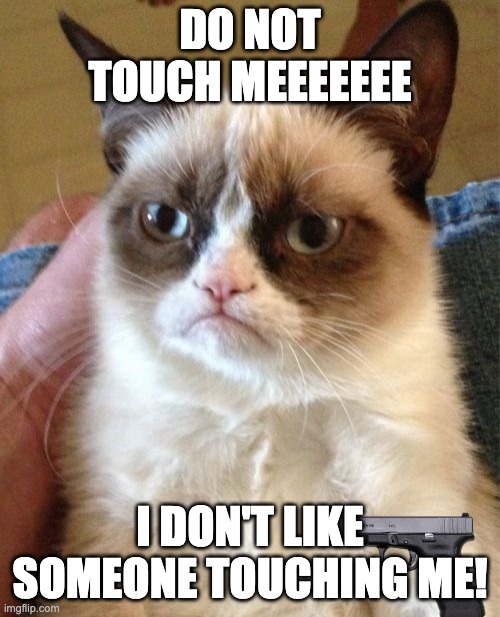 That cat don't like someone touching him | DO NOT TOUCH MEEEEEEE; I DON'T LIKE SOMEONE TOUCHING ME! | image tagged in memes,grumpy cat | made w/ Imgflip meme maker