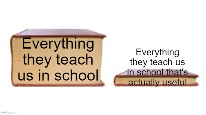 If it isn't useful, why would they teach it to us? | Everything they teach us in school; Everything they teach us in school that's actually useful | image tagged in big book small book,memes,school,so true,oh wow are you actually reading these tags | made w/ Imgflip meme maker