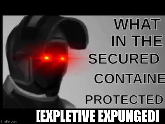 What in the Secured Contained Protected | [EXPLETIVE EXPUNGED] | image tagged in what in the secured contained protected | made w/ Imgflip meme maker