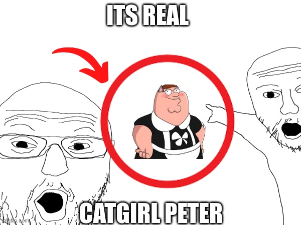 Petah | ITS REAL; CATGIRL PETER | image tagged in peter griffin,rec room | made w/ Imgflip meme maker