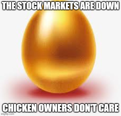 Sitting on a gold mine | THE STOCK MARKETS ARE DOWN; CHICKEN OWNERS DON'T CARE | image tagged in golden egg,invest in chickens,eggs are money,i got mine,storing up wealth,invest wisely | made w/ Imgflip meme maker