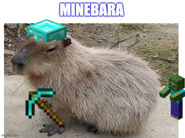 Minebara | MINEBARA | image tagged in cool | made w/ Imgflip meme maker