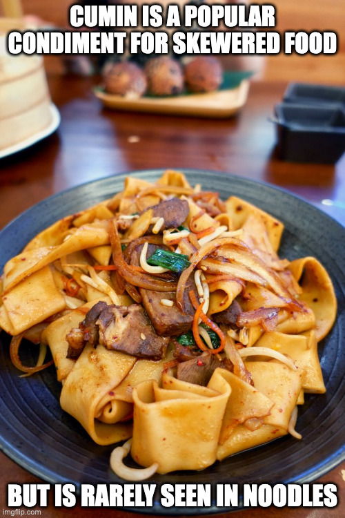Spicy Cumin Lamb Fried Noodles | CUMIN IS A POPULAR CONDIMENT FOR SKEWERED FOOD; BUT IS RARELY SEEN IN NOODLES | image tagged in food,noodles,memes | made w/ Imgflip meme maker